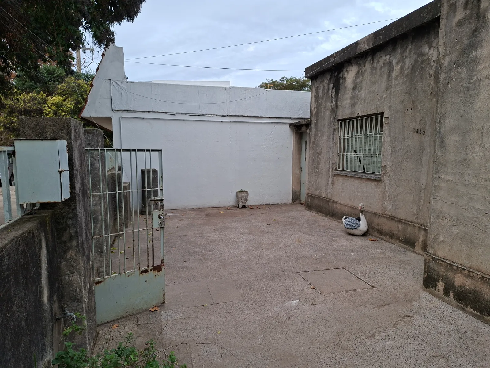 Foto 2